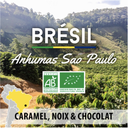 Brésil Sao Paulo Anhumas...