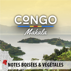 Congo Bagheera